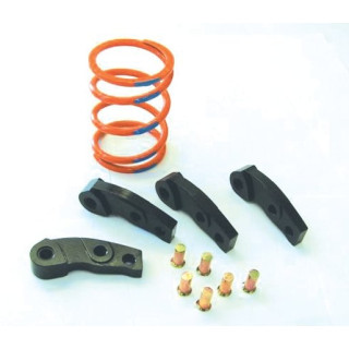 2005-2007 Brute Force 750 EFI 4x4 Clutch Kit