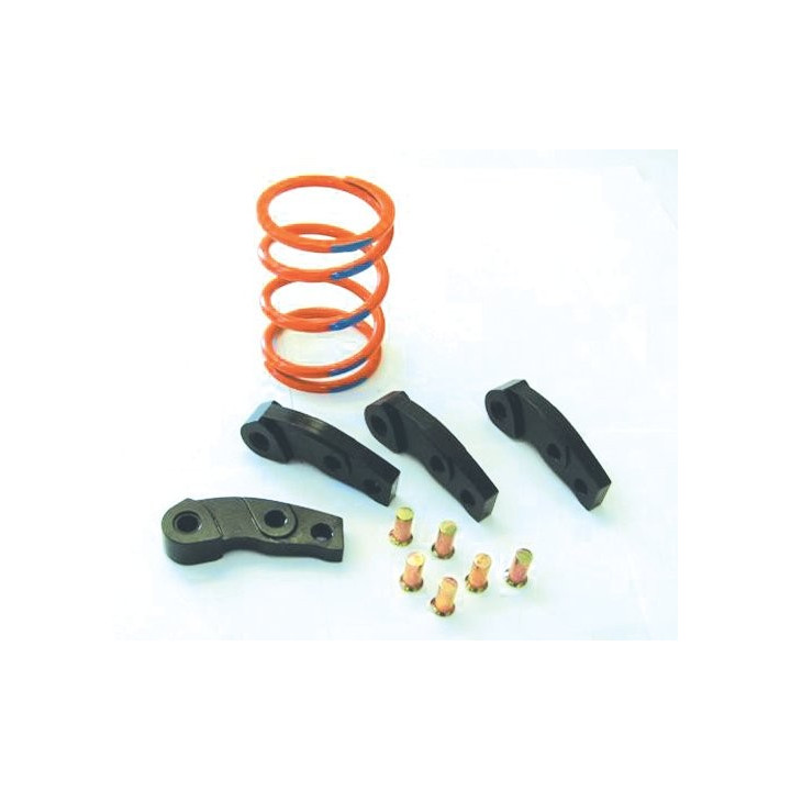 2005-2007 Brute Force 750 EFI 4x4 Clutch Kit