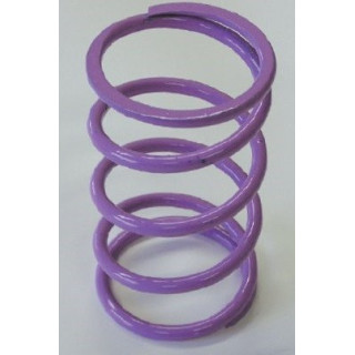 Kawasaki Violet Secondary Spring