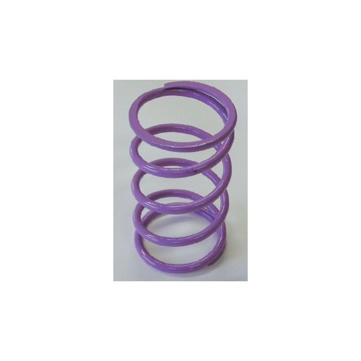 Kawasaki Violet Secondary Spring