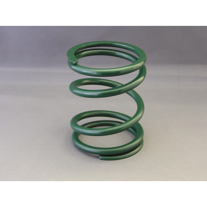 Kawasaki Dark Green Primary Spring
