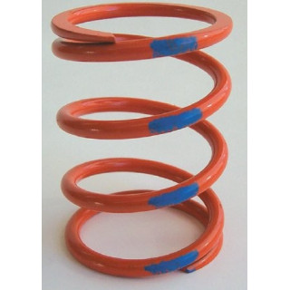 Kawasaki Orange Blue Primary Spring