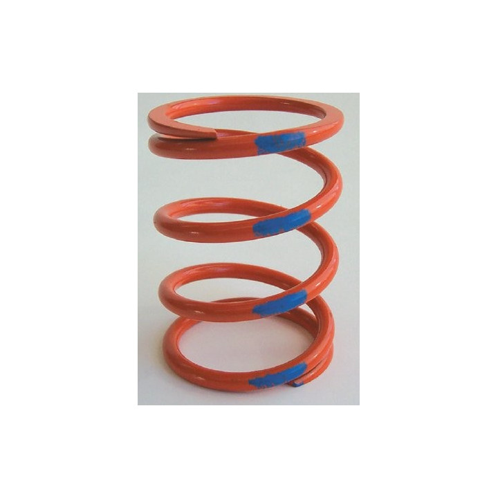 Kawasaki Orange Blue Primary Spring