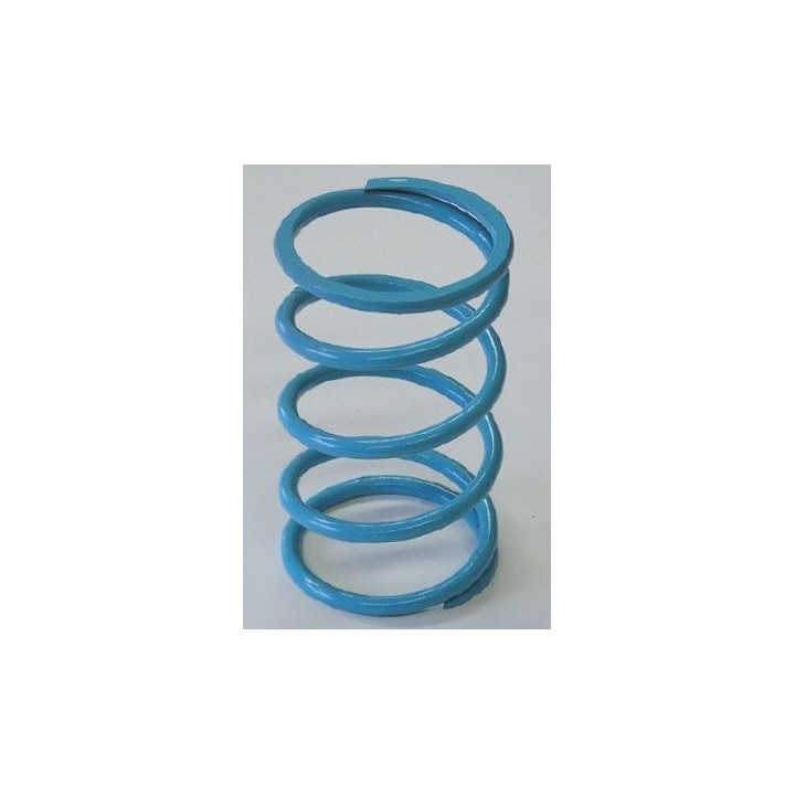 Kawasaki Aqua Secondary Spring